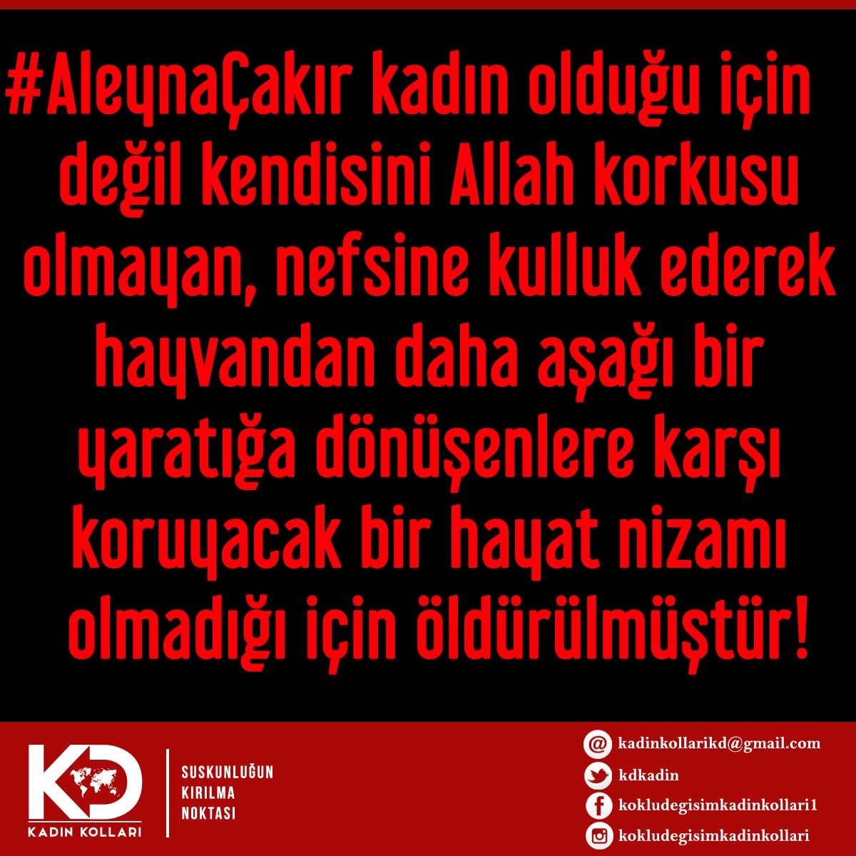 #AleynaÇakır kadın olduğu için değil kendisini Allah korkusu olmayan, nefsine kulluk ederek hayvandan daha aşağı bir yaratığa dönüşenlere karşı koruyacak bir hayat nizamı olmadığı için öldürülmüştür!