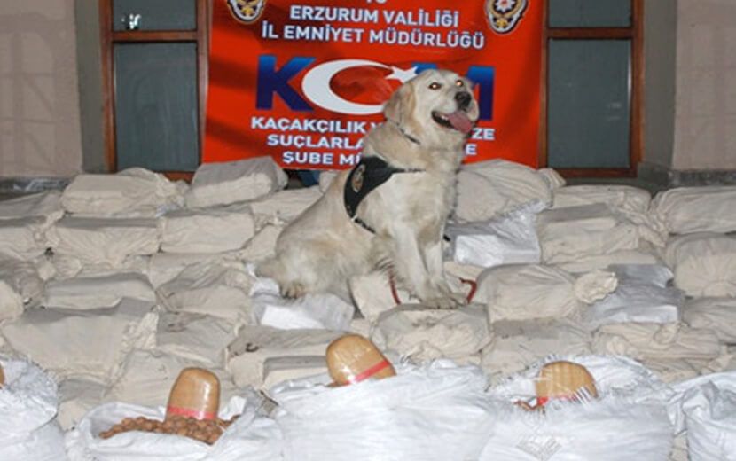 Erzurum’da Büyük Uyuşturucu Operasyonu