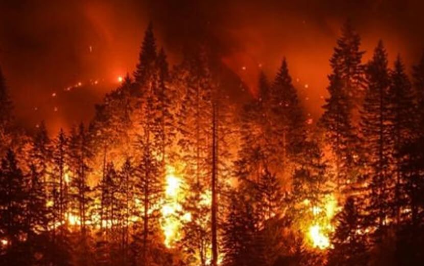 Karadeniz’de 58 Noktada Orman Yangını