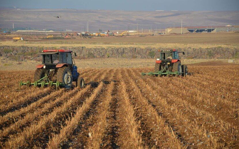 Tarımsal Girdi Fiyatları 2020’de Yüzde 17,52 Arttı