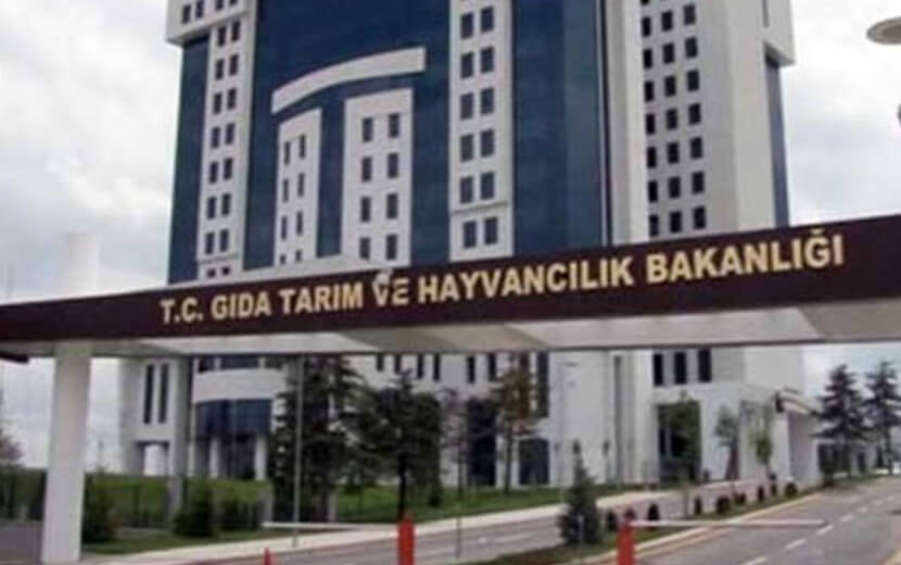 Bill Gates’in “Sentetik Et Üretin” Çağrısı Türkiye’yi Harekete Geçirdi