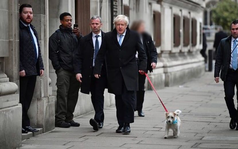 İngiltere, Afganistan’dan Önce Hayvanları Sonra İnsanları Tahliye Etti