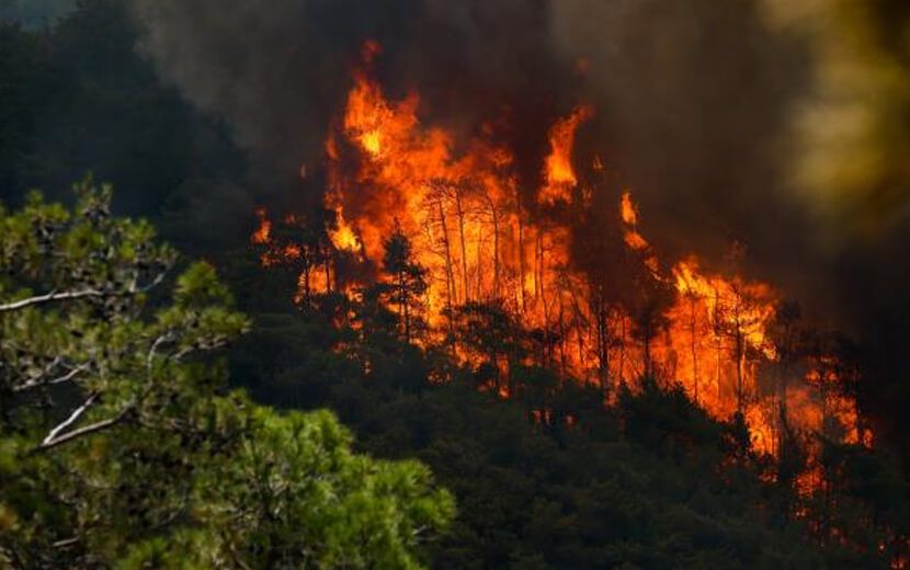 Marmaris’teki Orman Yangınını Çıkaran Kundakçı Tutuklandı