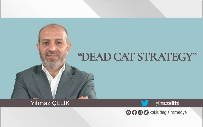 “Dead Cat Strategy”