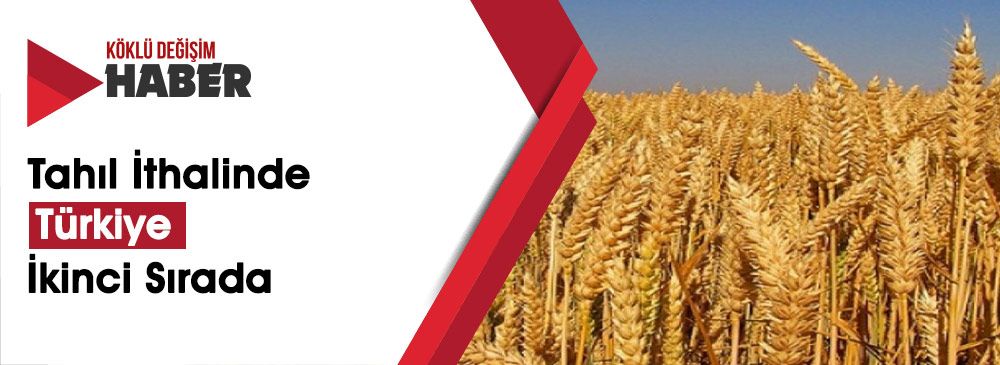 Tarım Ülkesi Türkiye, Rusya’dan Buğday İthal Ediyor