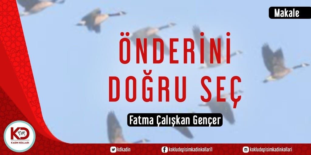 ÖNDERİNİ DOĞRU SEÇ!