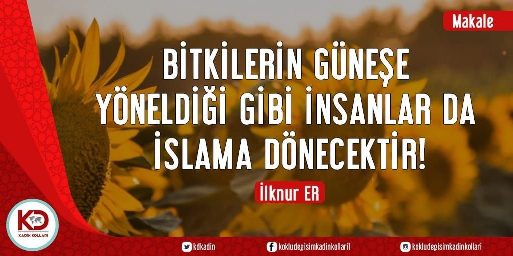 BİTKİLERİN GÜNEŞE YÖNELDİĞİ GİBİ İNSANLAR DA İSLAMA DÖNECEKTİR!