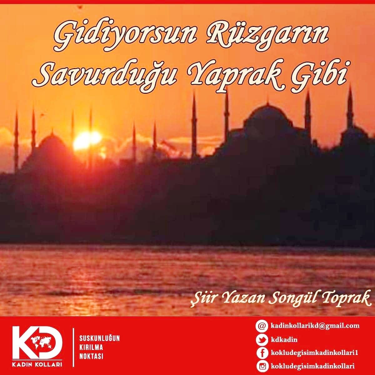 Gidiyorsun rüzgârın savurduğu yaprak gibi,