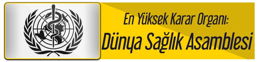 Dünya-Sağlık-Asamblesi.jpg