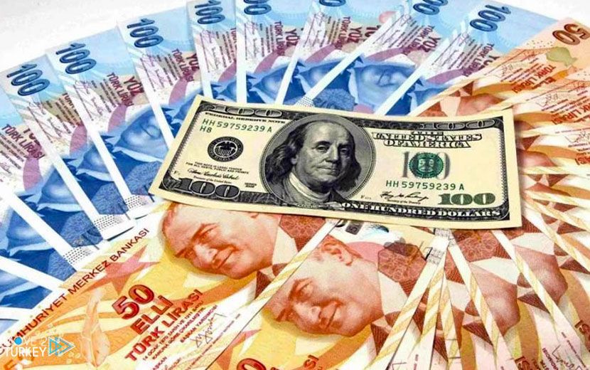 Dövizde Yeni Rekor: TL Eriyor, Alım Gücü Düşüyor