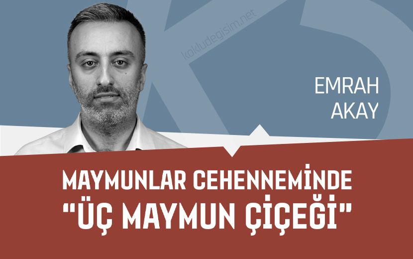 Maymunlar Cehenneminde “Üç Maymun Çiçeği”