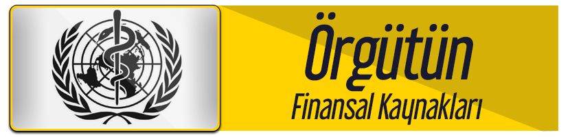 Örgütün-Finansal-Kaynakları.jpg