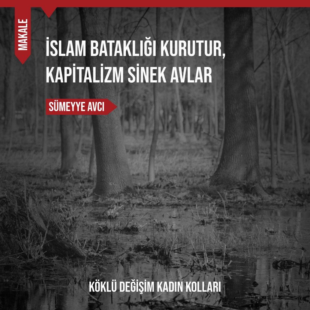 İslam Bataklığı Kurutur, Kapitalizm Sinek Avlar
