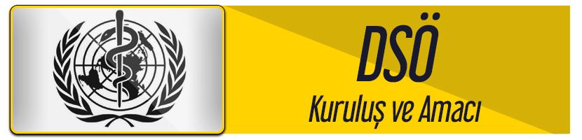 dsö-kuruluş-ve-amacı.jpg